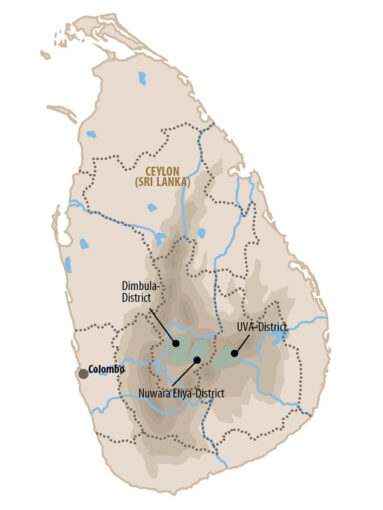 Carte du thé de Ceylan Indulgashinna
