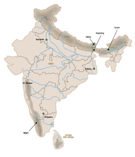 Zone de récolte et production du thé Assam