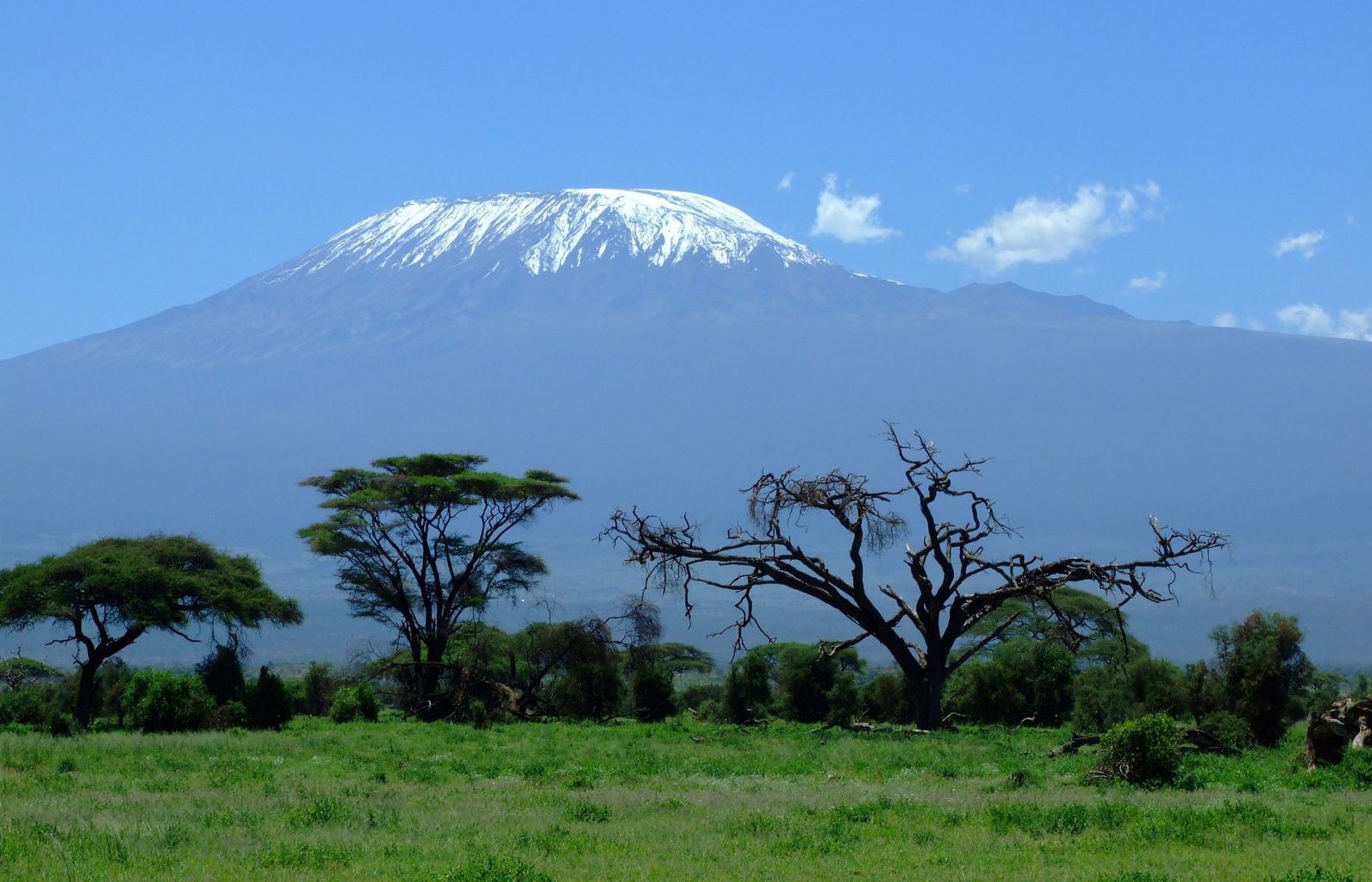 Montagne-Kilimanjaro