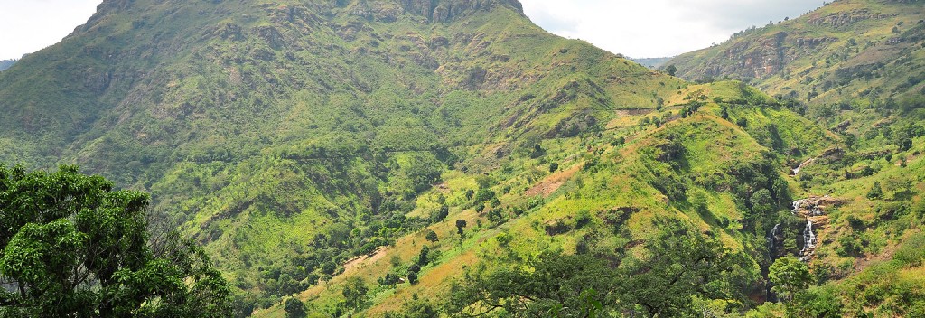 Montages-Tanzanie-Usambara