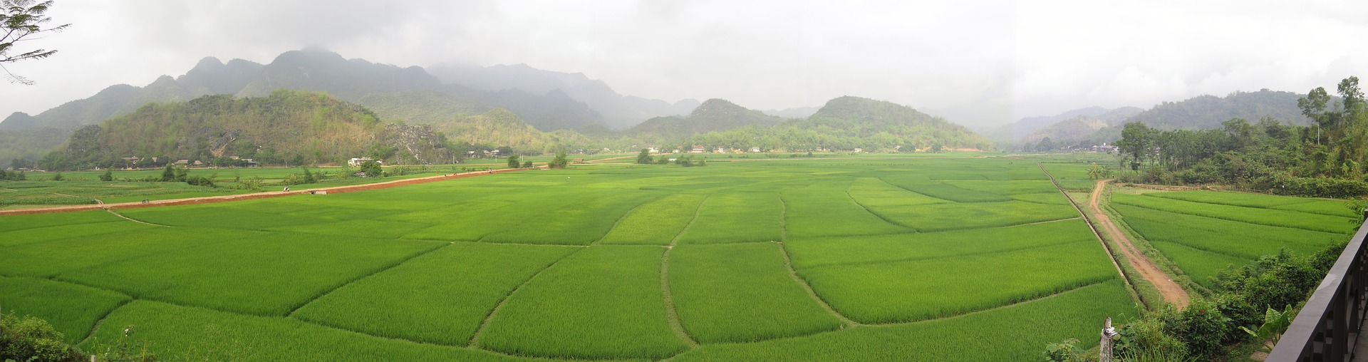 Culture au vietnam