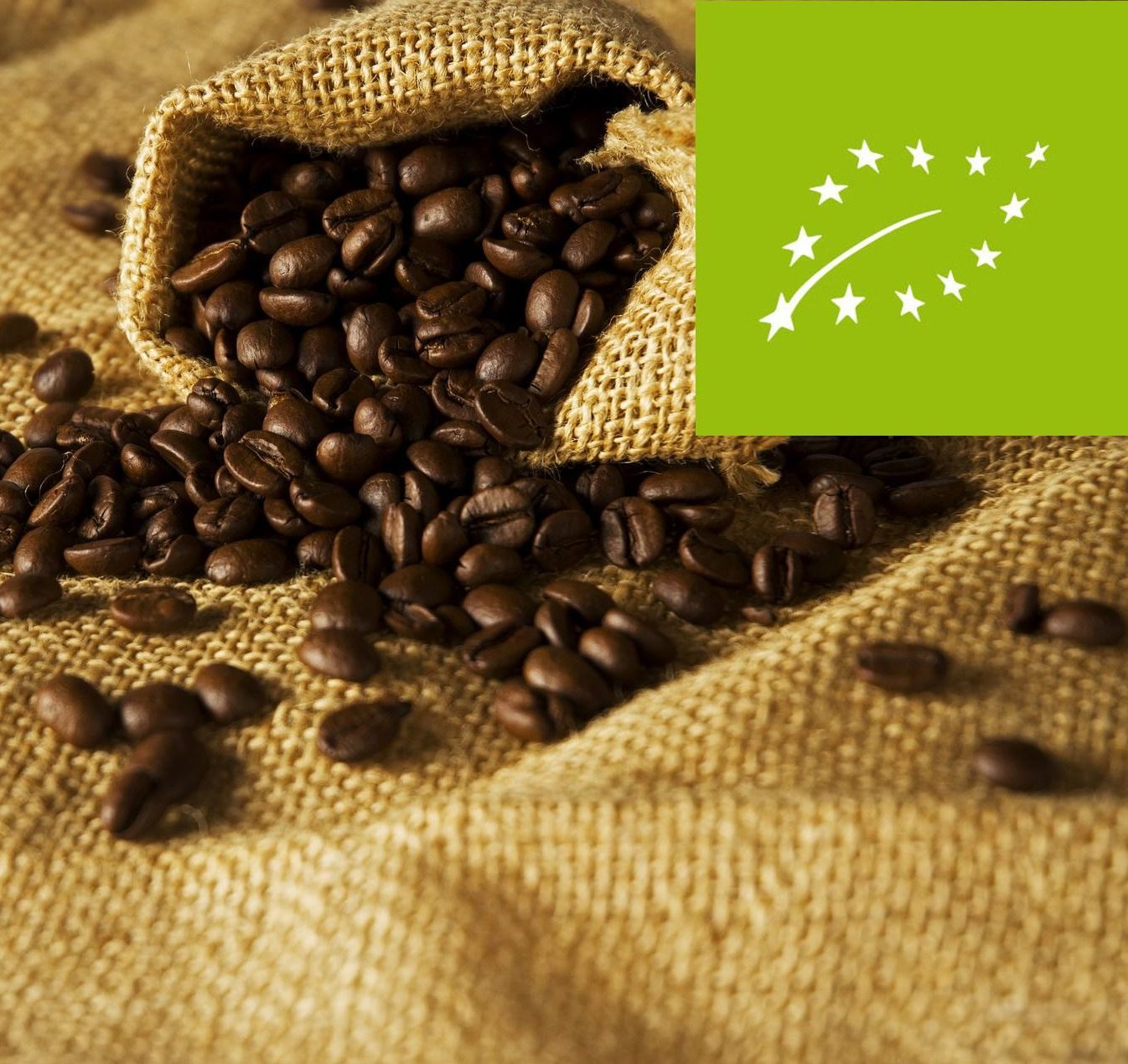 Comment choisir du café bio en grain ? - L'Arbre à Café