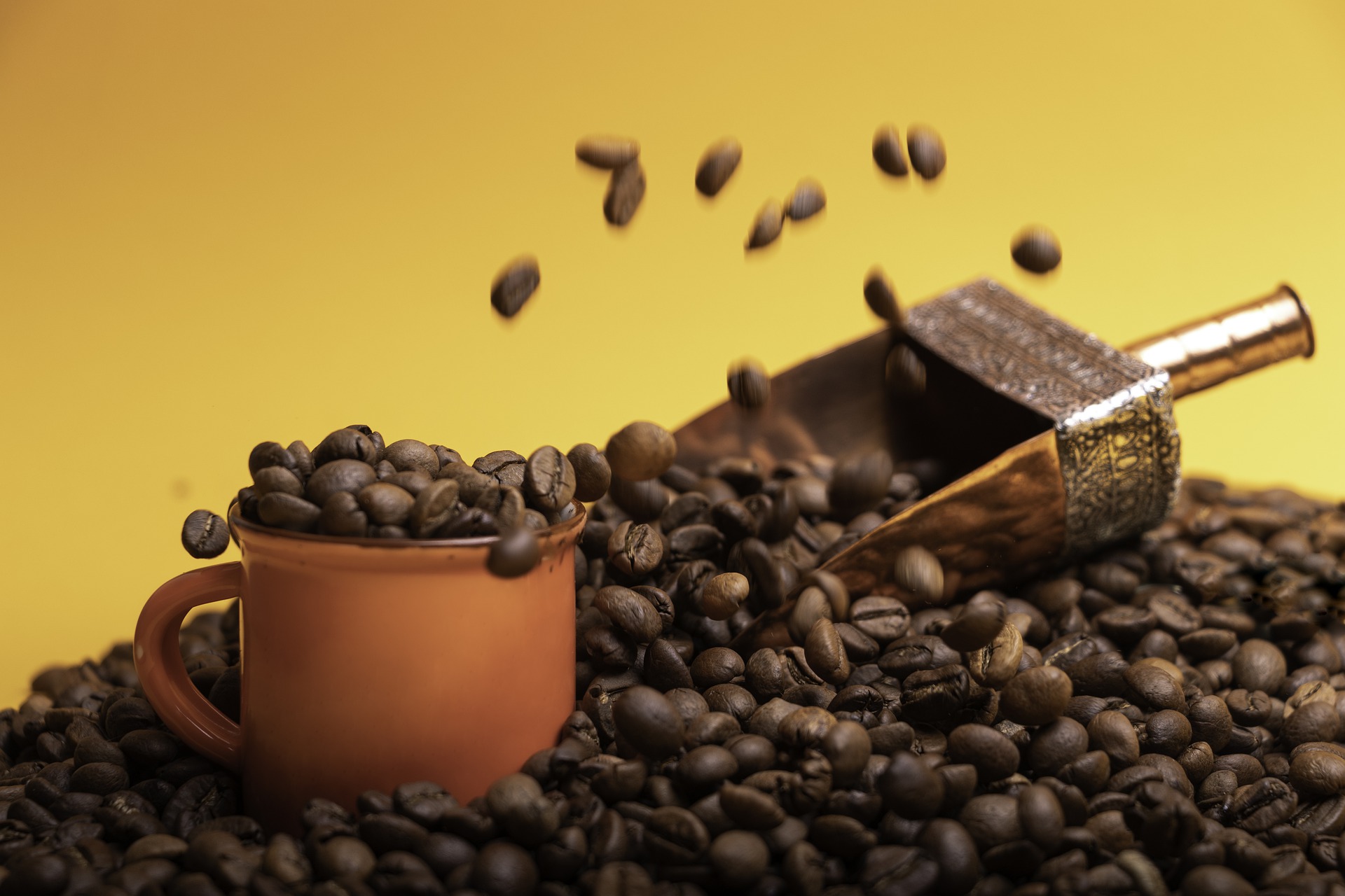 Mélange de café Jamaica Blue Mountain® - Grains entiers torréfiés