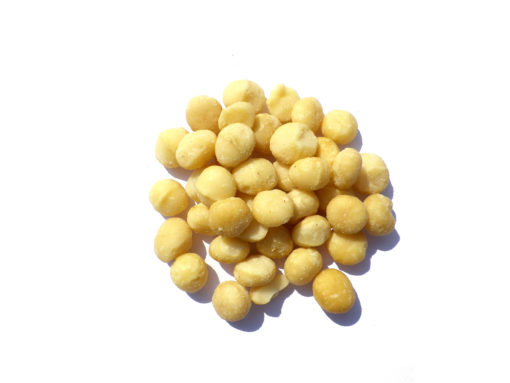 Noix de macadamia