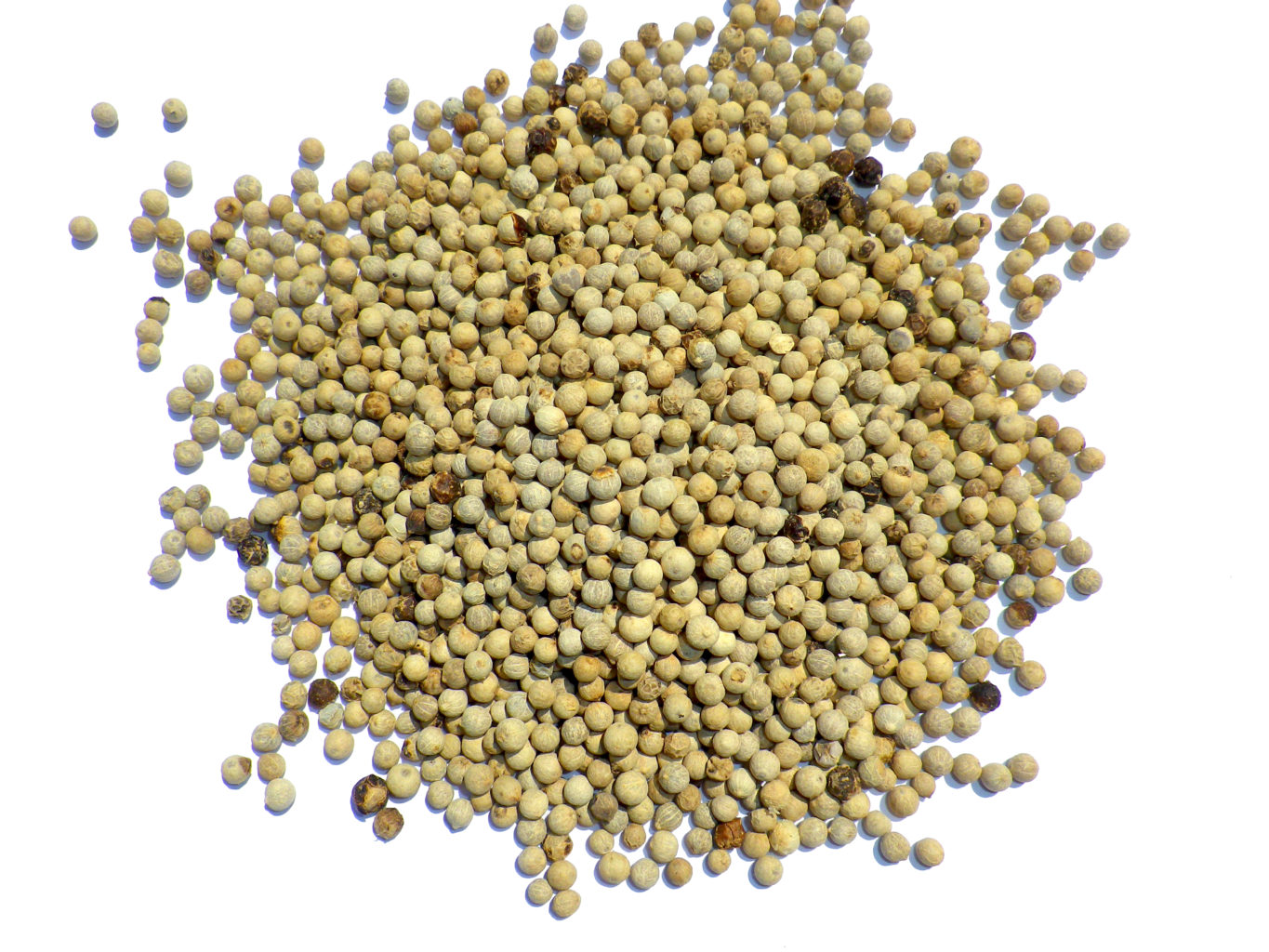 Poivre blanc en grains 450g