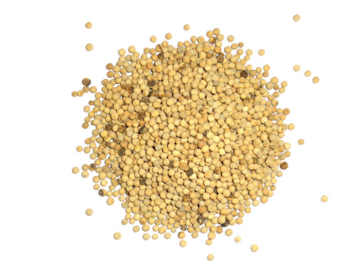 Poivre noir Bio en grain entier - Origine malabar - vendu par 200g