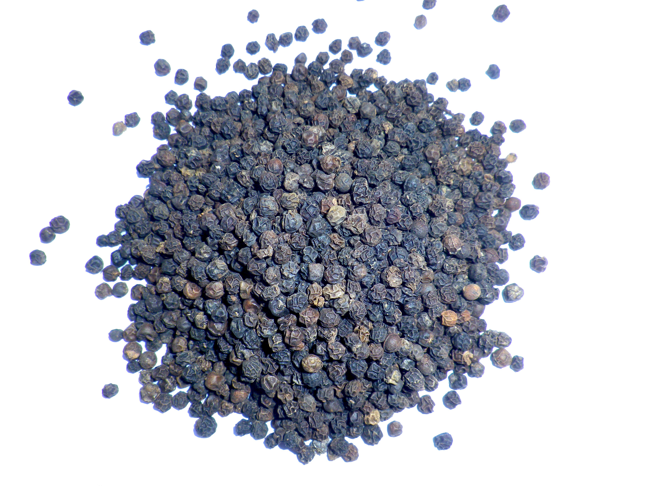 Poivre noir de Malabar - Achat, utilisation, recettes